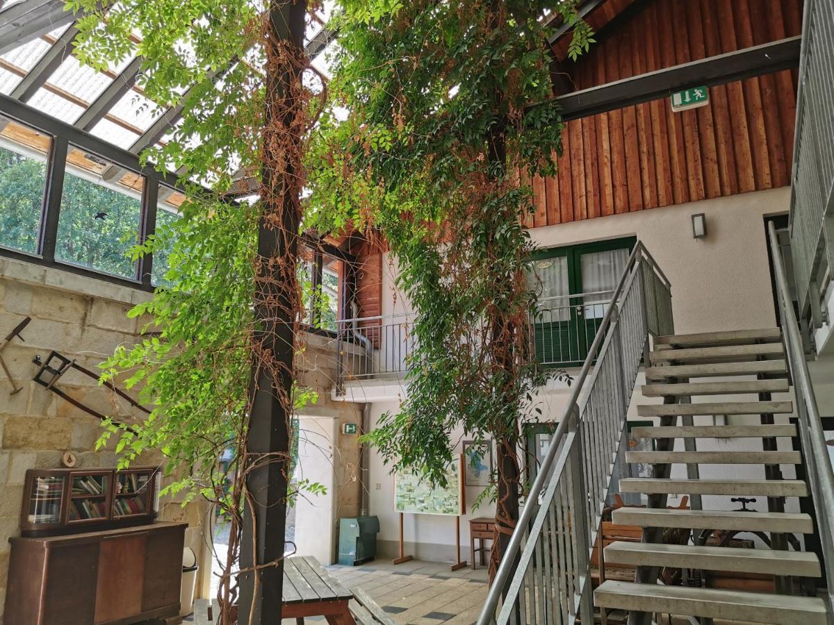 Landhotel Schaferhof Langenstein エクステリア 写真